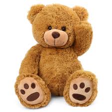 Plush Teddy Bear